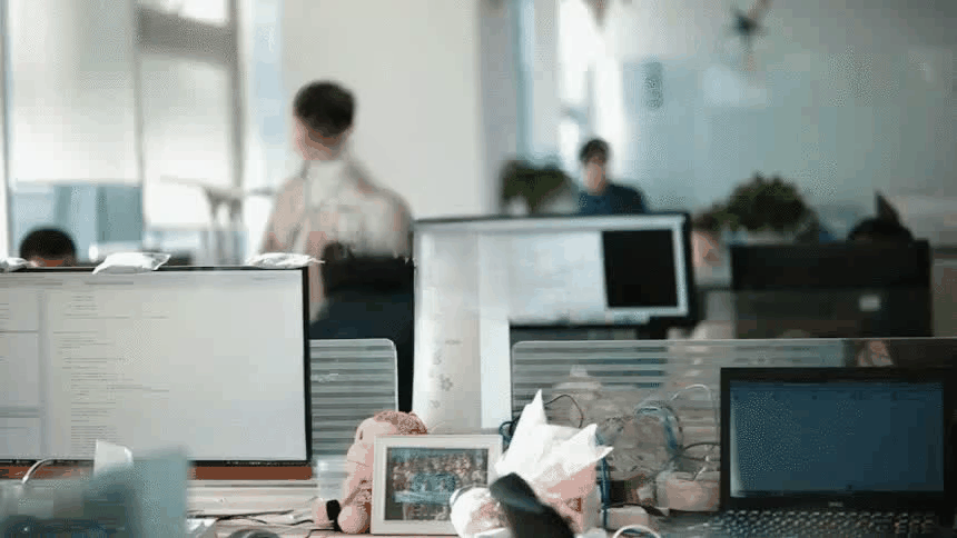 Pebble office team working